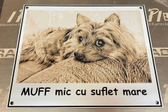 muff